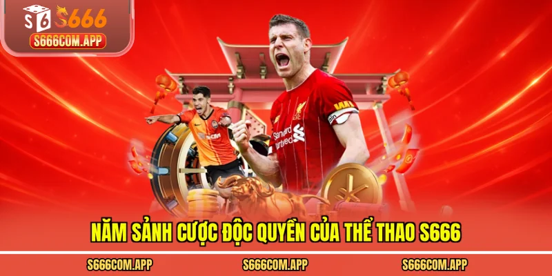 Năm sảnh cược độc quyền của thể thao S666